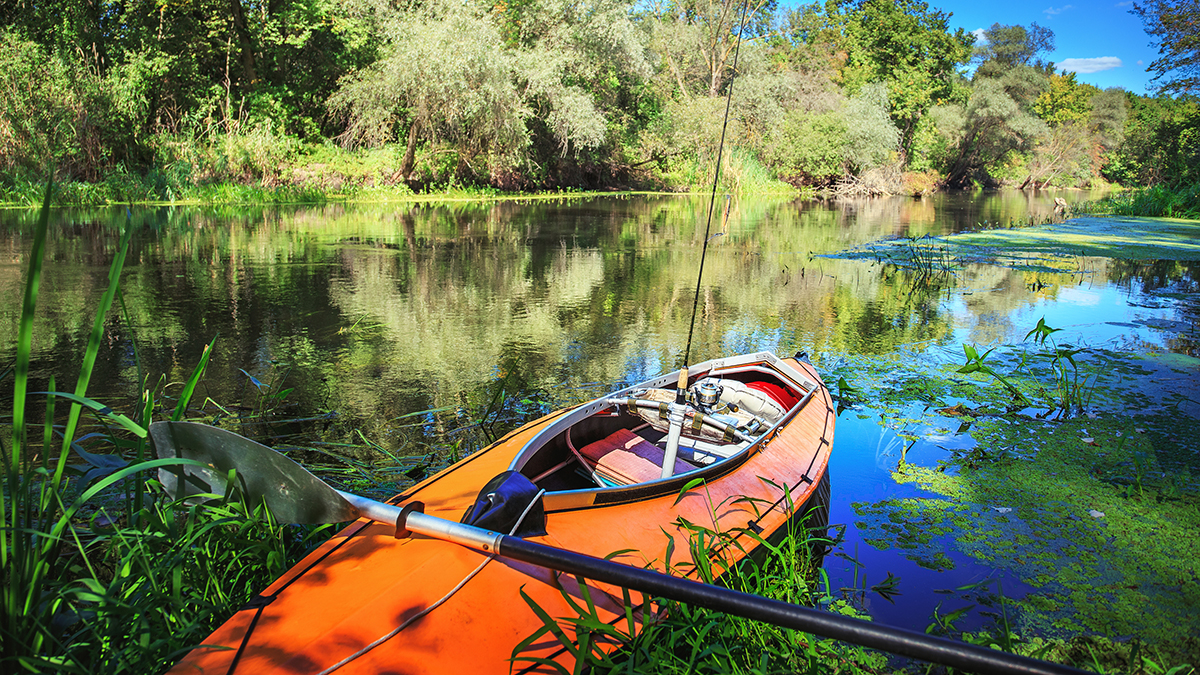 What Type of Kayak Works Best For You - marinegadgetry.com